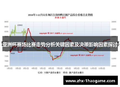 亚洲杯赛场比赛走势分析关键因素及决策影响因素探讨